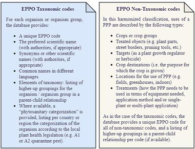 EPPO ontology: a semantic-driven approach for plant and pest codes representation